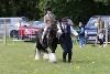 thornton-le-dale-gala showclass7acharity25-5-20030